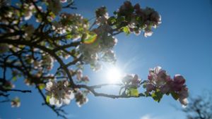 Bayern: Sonniger Start in den Mai: Temperaturen bis 29 Grad Celsius