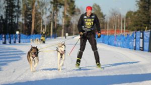 Hundeschlittensport Skijöring: Ein Weltmeister aus Bad Rodach