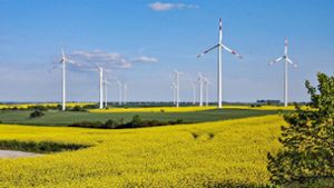Windkraft und Naturschutz im Fokus